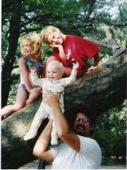 The Climbing Tree.  Click to enlarge.